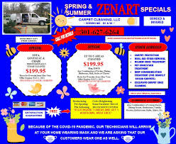 welcome to zenart carpet cleaning