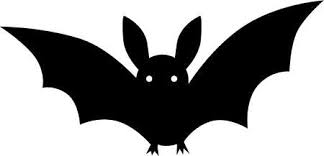 Image result for bats drawing