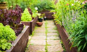 Ideas And Tips For Your Raised Garden