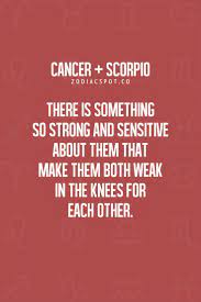 We did not find results for: 20 Quotes About Cancer Scorpio Relationships Scorpio Quotes