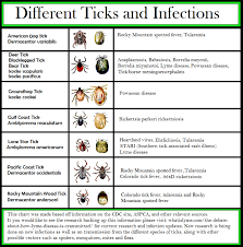 Lymes Disease New Tick Co Infections Google Search Lyme