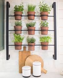 50 Indoor Herb Gardens On Instagram