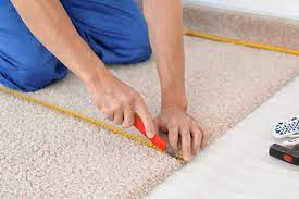 dunedin carpet cleaning