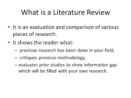 Literature review Springer Link Purpose of a literature review   RMIT University