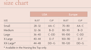Bra Cup Sizes Compared To Fruit Avalonit Net