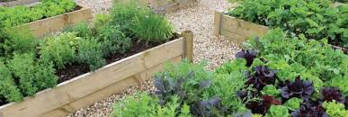 advice for raised bed vegetable growers