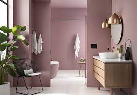 Bathroom Interior Colour Combination