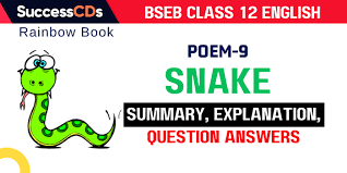 snake summary explanation and