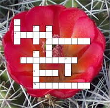 Desert Adaptations Crossword Puzzle