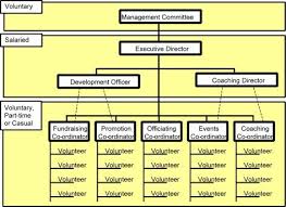 Organisation Structure Showing Levels Of Paid And Voluntary