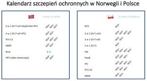 Jak znaleźć miejsce w kolejce po szczepionkę? Porownanie Programu Szczepien W Norwegii I Polsce Szczepienia Info