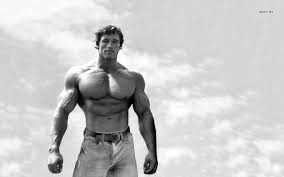Arnold Schwarzenegger HD Wallpaper Wallpapers Pinterest | Arnold  schwarzenegger bodybuilding, Schwarzenegger bodybuilding, Arnold  schwarzenegger