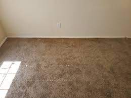can you see the mold in the carpet
