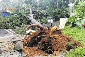 Cyclone Titli: No effect in WB on landfall, may trigger rain .