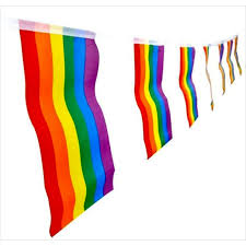 Und wofür genau stehen die farben? Regenbogenfahne Flagge Wimpelkette Stolz 5m