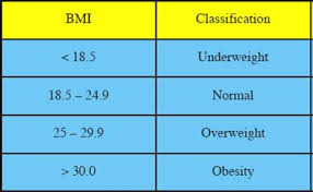 The Skinny On Obesity Breaking Down The Bmi
