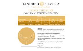 Kindred Bravely Under The Bump Extra Soft Organic Cotton Pregnancy Underwear Maternity Panties