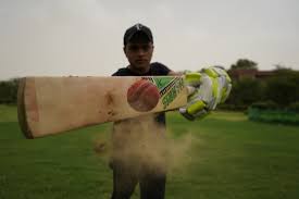 Cricket Sports Player - Free photo on Pixabay