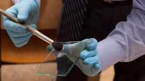 bsc hons forensic investigations