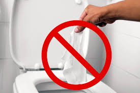 Never Flush These 11 Things Down Your