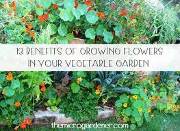 13 Benefits Of Growing Flowers In Your
