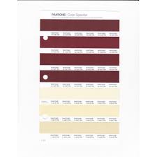 Pantone 11 0617 Tpg Transparent Yellow Replacement Page Fashion Home Interiors