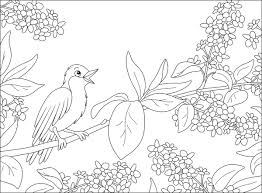 spring flowers coloring pages free