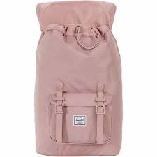 little america mid volume 17l backpack