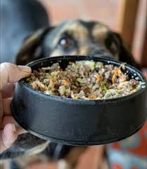how to make homemade dog food for dogs