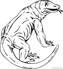 It can live ot be 100 years old. Huge Komodo Dragon Coloring Page Coloringall