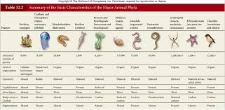 61 Meticulous Phylum Arthropoda Characteristics Chart