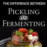 What Is the Difference Between Pickled Cabbage and ...