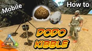 how to make dodo kibble basic kibble in