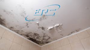 remove mold from your bathroom ceiling