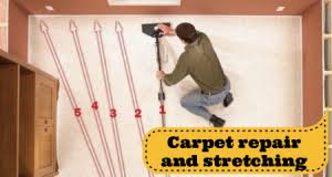 steamline carpet cleaning restoration