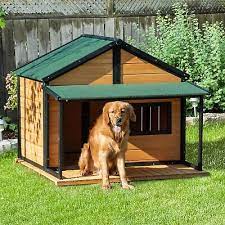 Outdoor Wooden Raised Cabin Dog House W