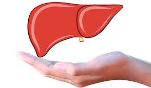 Hepatitis b is a viral infection attacking the liver and representing real life danger. Erkrankung Der Leber Hepatitis A B C Und D Gesundheit Aktuell De