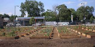 Peterson Garden Project Chicagoans