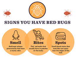ultimate bed bugs guide signs causes