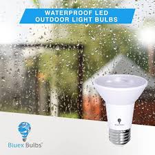 Bluex Bulbs 65 Watt Equivalent B11