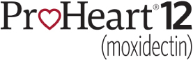 Proheart 6 Moxidectin 6 Month Heartworm Disease Prevention