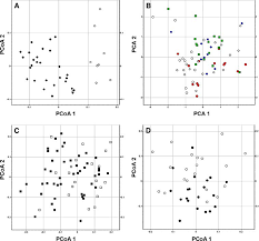 Genome size variation and morphological differentiation within ...