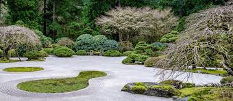 zen garden patterns transpa