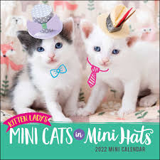 November 15, 2020uncategorizedcat, catphotos, kittengreatestcatpics leave a comment. Kitten Lady S Mini Cats In Mini Hats 2022 Mini Wall Calendar Book Summary Video Official Publisher Page Simon Schuster