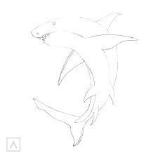 how to draw a shark in 6 steps arteza com