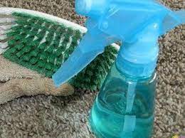 how to naturally clean vomit off carpet