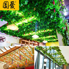 But also you need the perfect way of hanging a start putting your wall tapestry on your ceiling from one side to the other end gradually.as the polyester wallhanging tapestry is very lighter. Artificial Rattan Flower Vine Fake Flower Vine Grape Leaf Leaf Green Leaf Plant Creeper Pipe Ceiling