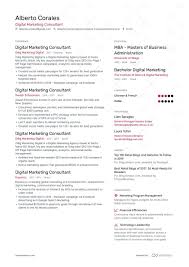 digital marketing consultant resume