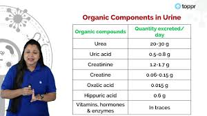 chemical composition of urine in