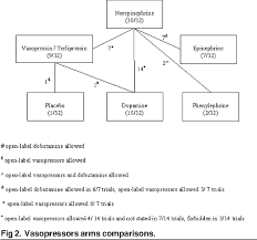 Figure 2 From Vasopressors For The Treatment Of Septic Shock